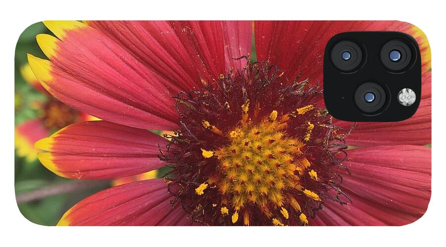Orange Red Flower - Phone Case