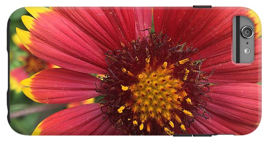Orange Red Flower - Phone Case