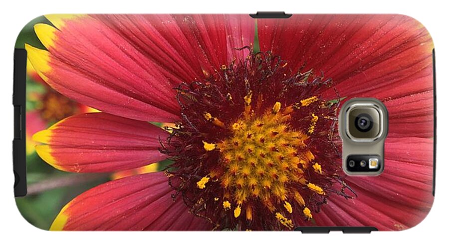 Orange Red Flower - Phone Case