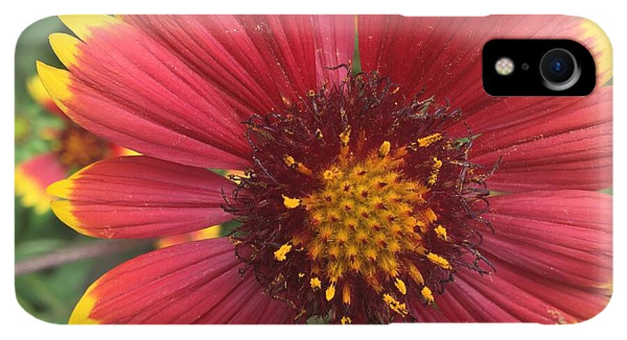 Orange Red Flower - Phone Case