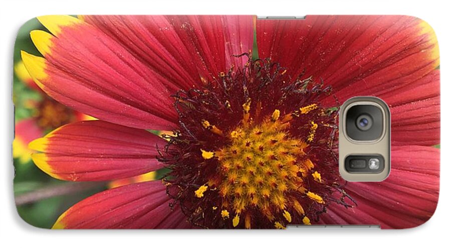 Orange Red Flower - Phone Case