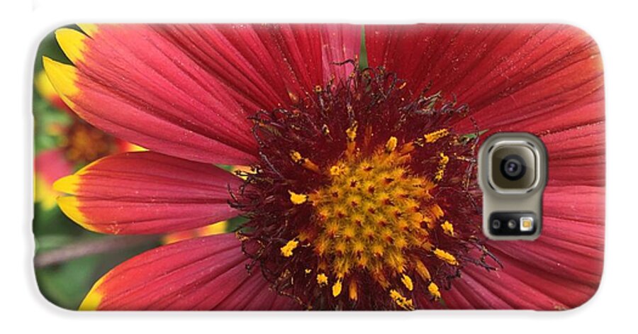 Orange Red Flower - Phone Case