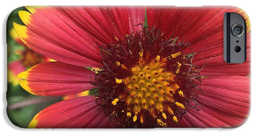 Orange Red Flower - Phone Case