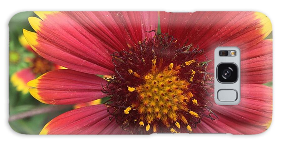 Orange Red Flower - Phone Case