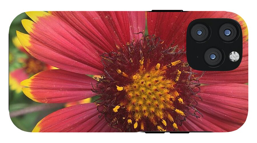 Orange Red Flower - Phone Case