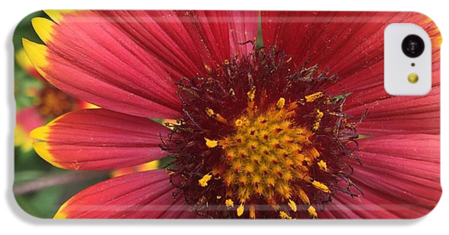 Orange Red Flower - Phone Case