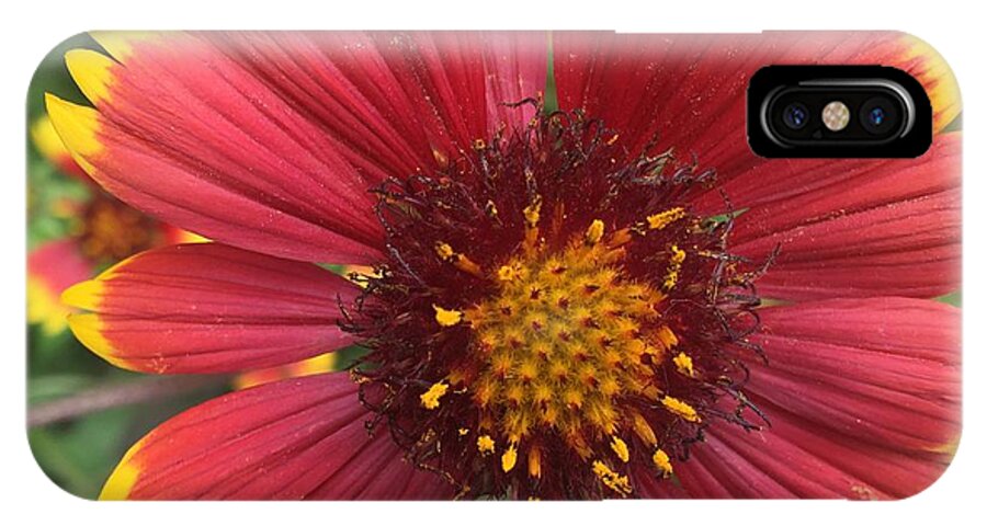 Orange Red Flower - Phone Case