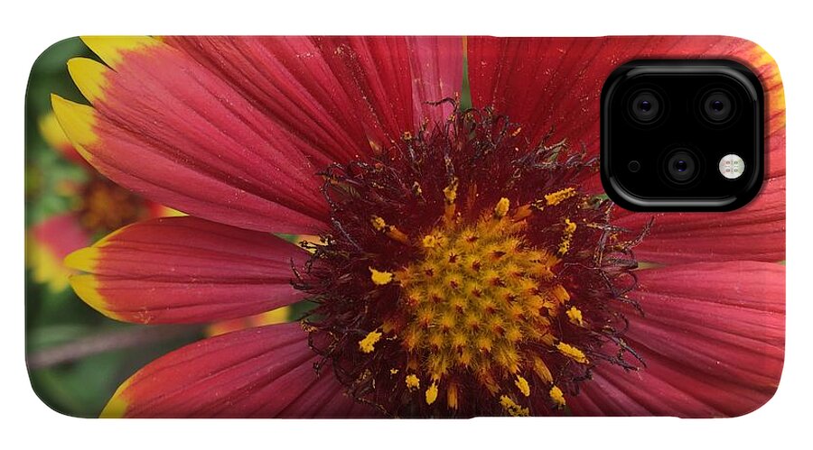 Orange Red Flower - Phone Case