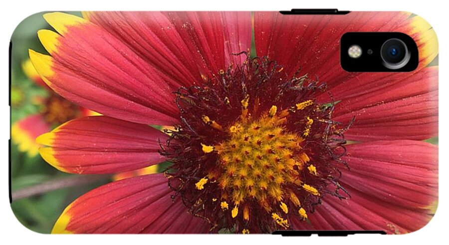 Orange Red Flower - Phone Case