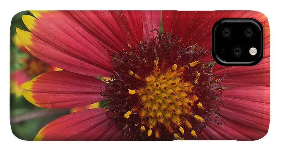 Orange Red Flower - Phone Case
