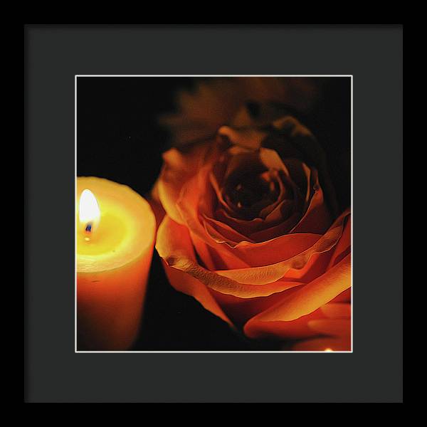 Orange Rose By Candle Light - Framed Print