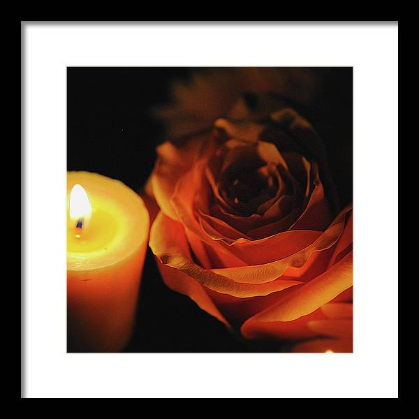 Orange Rose By Candle Light - Framed Print