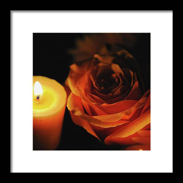 Orange Rose By Candle Light - Framed Print