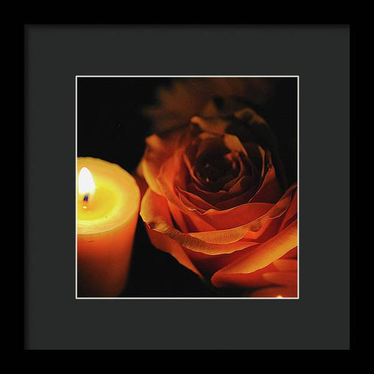 Orange Rose By Candle Light - Framed Print
