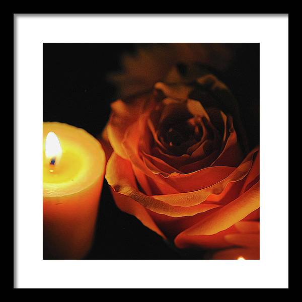Orange Rose By Candle Light - Framed Print