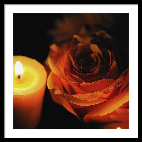 Orange Rose By Candle Light - Framed Print