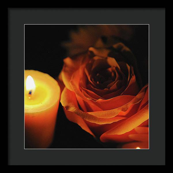 Orange Rose By Candle Light - Framed Print