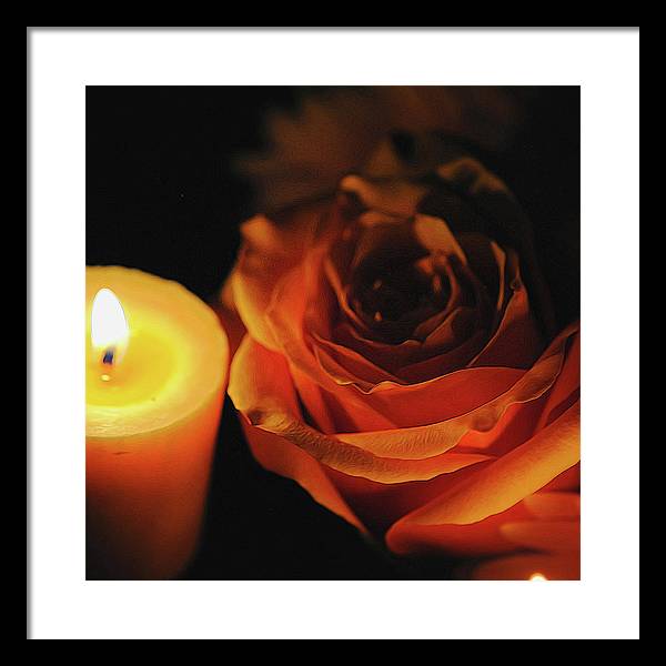 Orange Rose By Candle Light - Framed Print