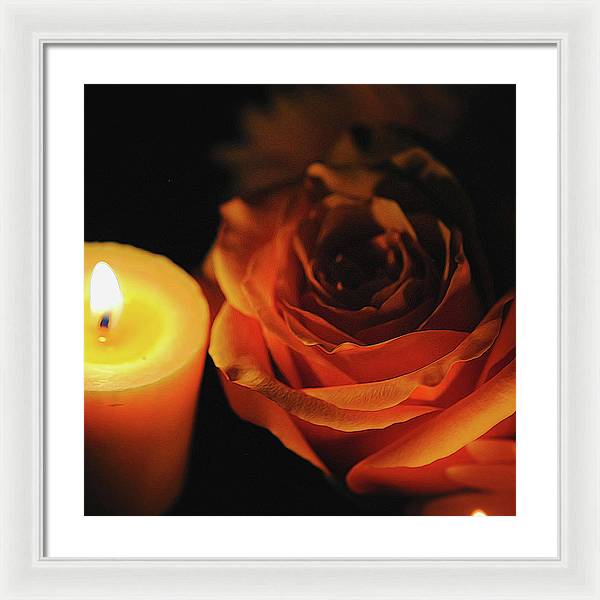 Orange Rose By Candle Light - Framed Print