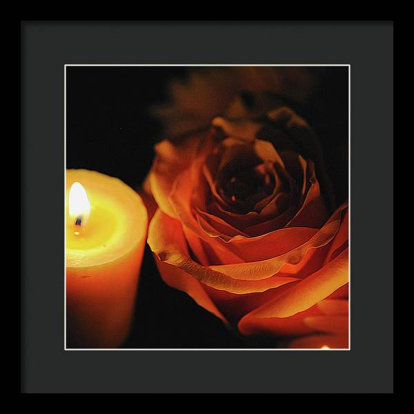 Orange Rose By Candle Light - Framed Print