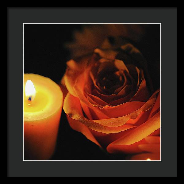Orange Rose By Candle Light - Framed Print
