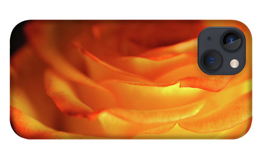 Orange Rose Close Up - Phone Case
