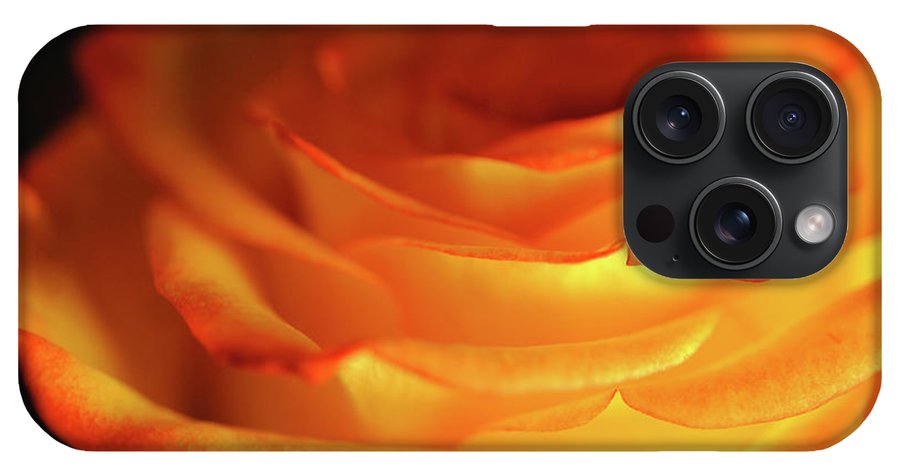 Orange Rose Close Up - Phone Case