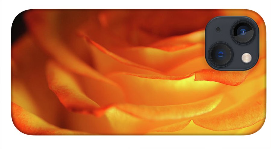 Orange Rose Close Up - Phone Case