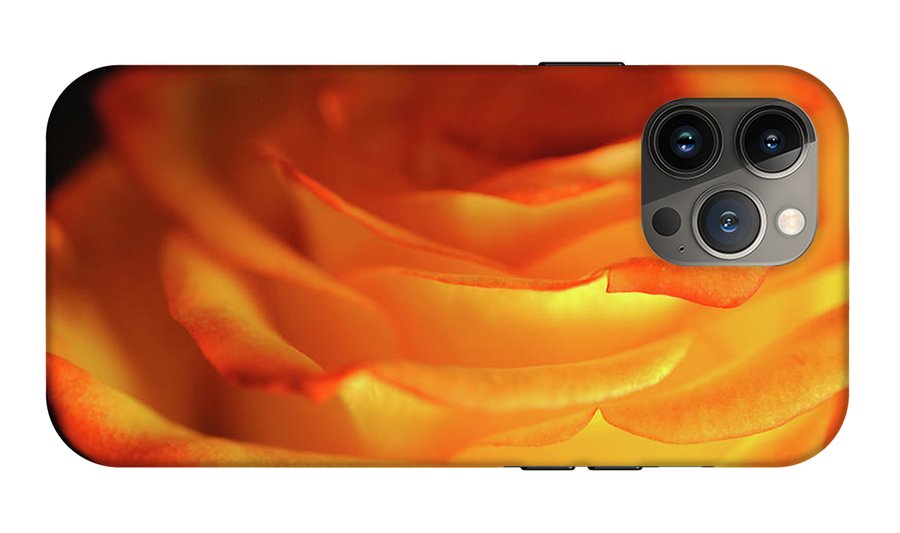 Orange Rose Close Up - Phone Case