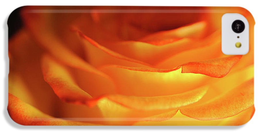 Orange Rose Close Up - Phone Case