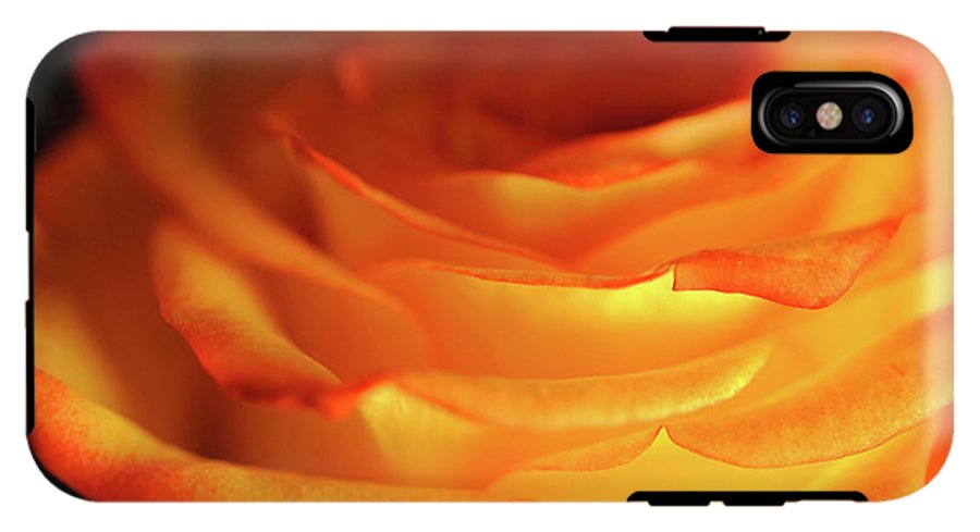 Orange Rose Close Up - Phone Case