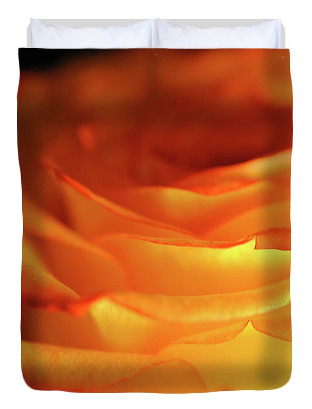 Orange Rose Close Up - Duvet Cover
