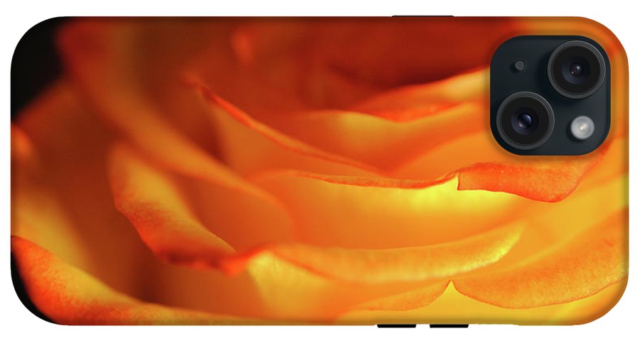 Orange Rose Close Up - Phone Case