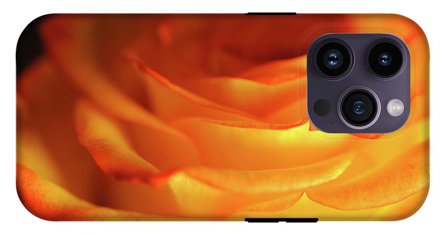 Orange Rose Close Up - Phone Case