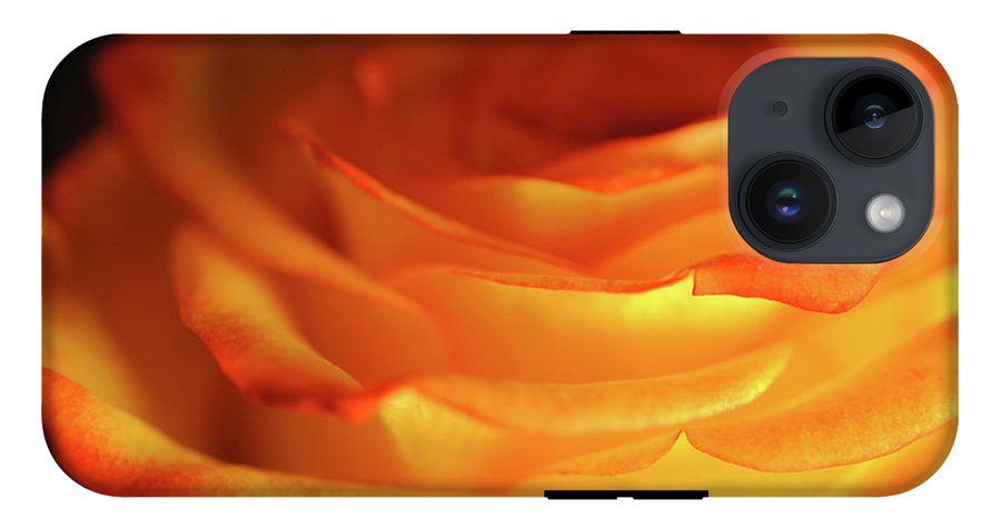 Orange Rose Close Up - Phone Case