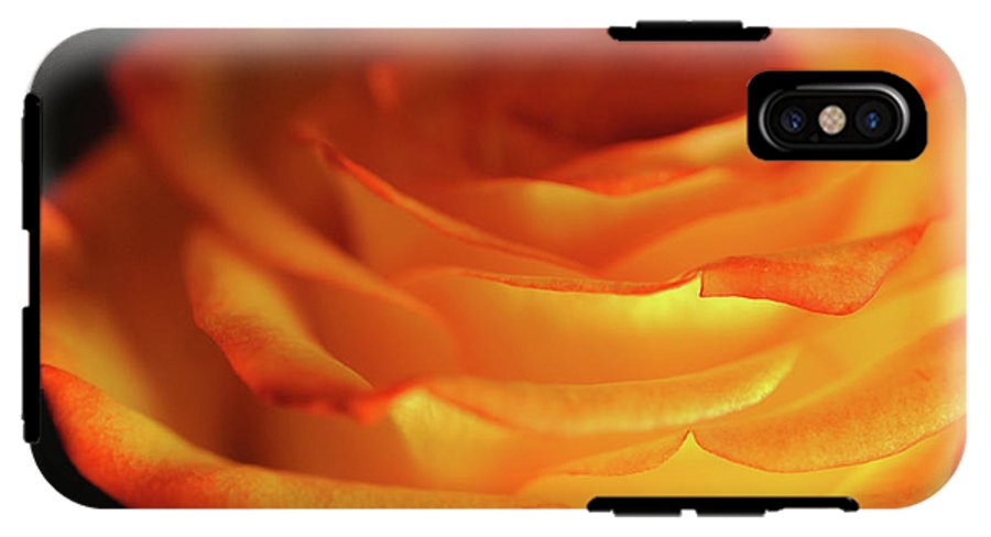 Orange Rose Close Up - Phone Case