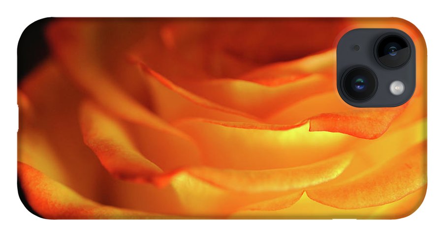 Orange Rose Close Up - Phone Case