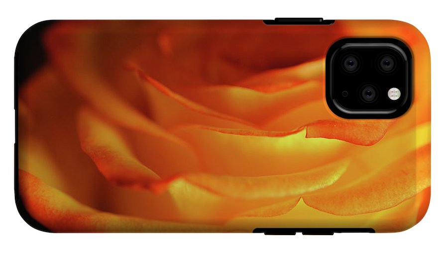 Orange Rose Close Up - Phone Case