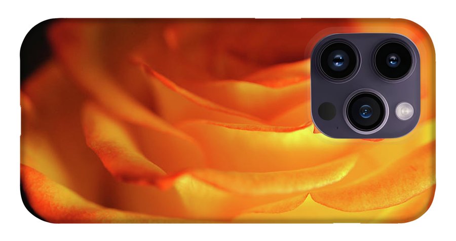 Orange Rose Close Up - Phone Case