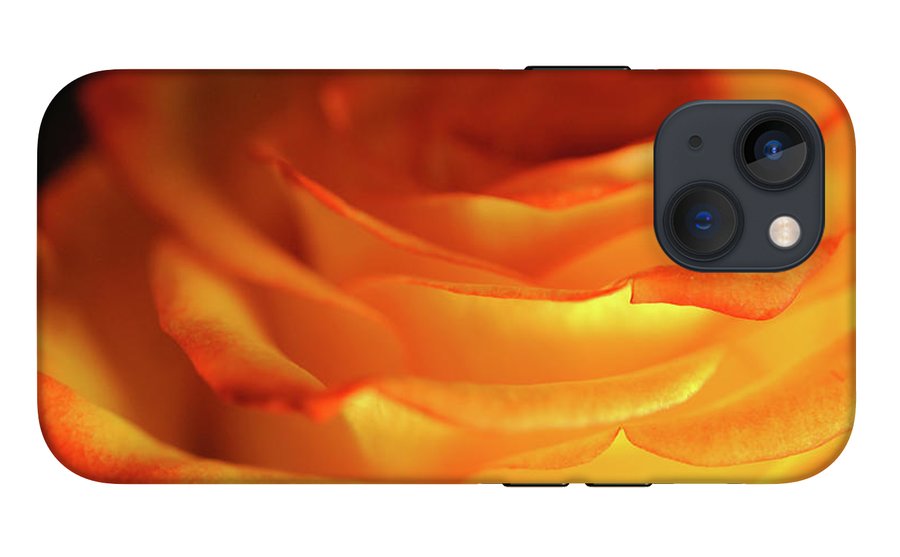 Orange Rose Close Up - Phone Case