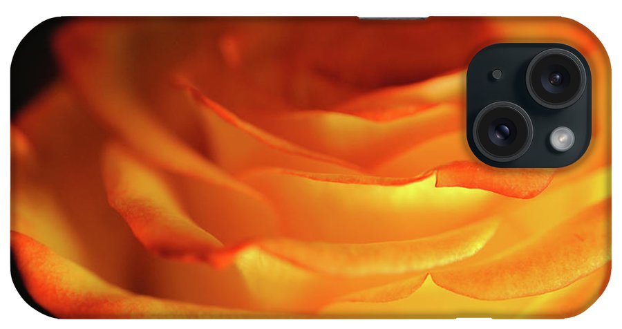 Orange Rose Close Up - Phone Case