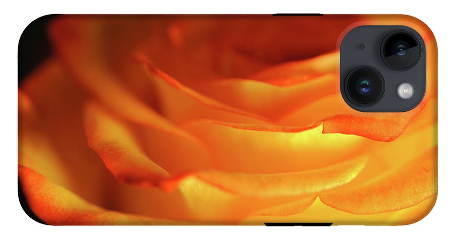 Orange Rose Close Up - Phone Case