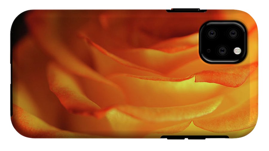 Orange Rose Close Up - Phone Case
