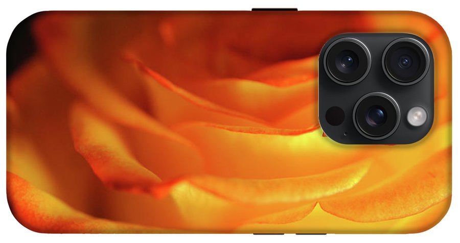 Orange Rose Close Up - Phone Case