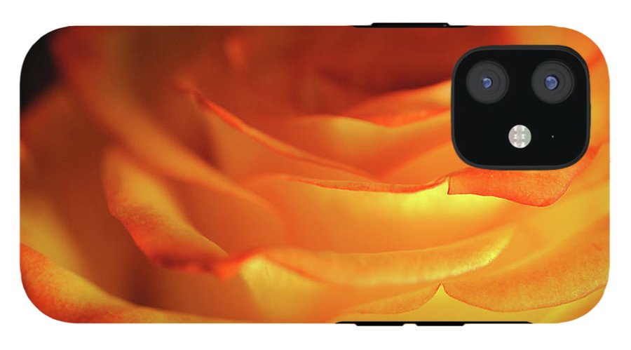 Orange Rose Close Up - Phone Case