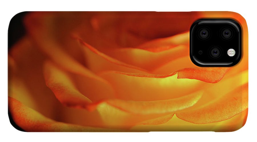 Orange Rose Close Up - Phone Case