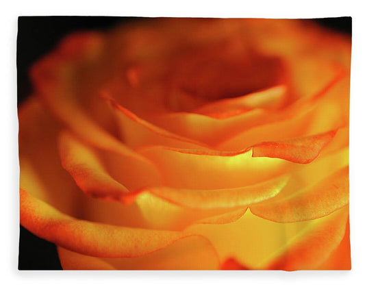 Orange Rose Close Up - Blanket
