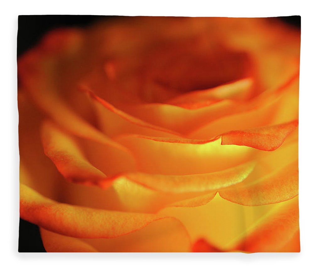 Orange Rose Close Up - Blanket