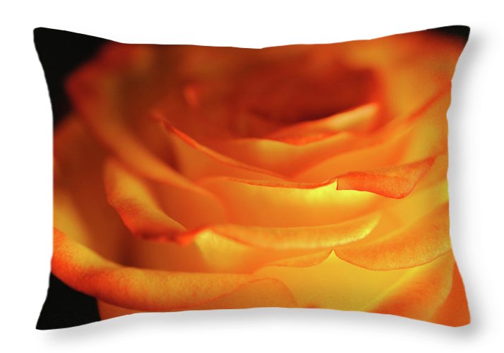 Orange Rose Close Up - Throw Pillow