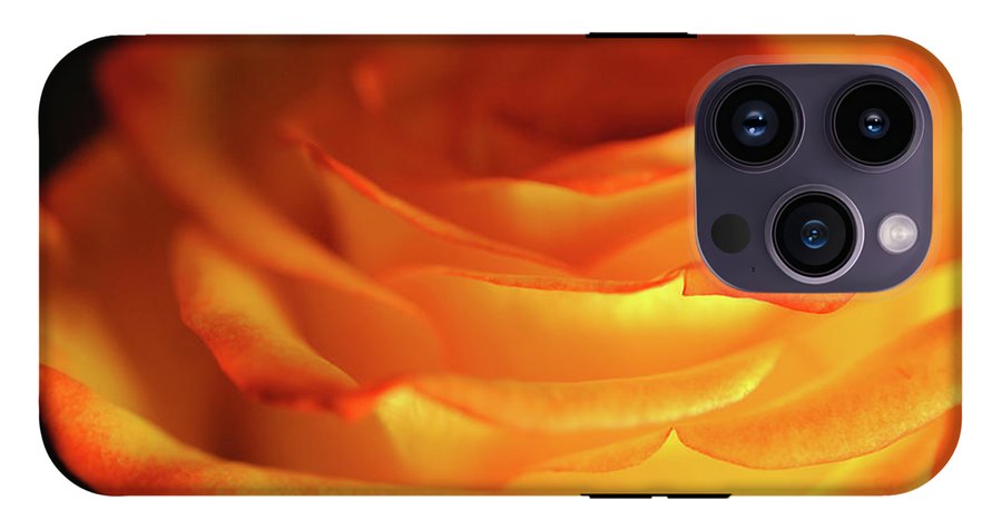 Orange Rose Close Up - Phone Case